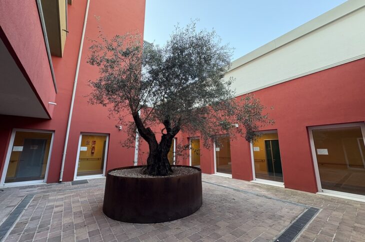 Foto del giardino interno